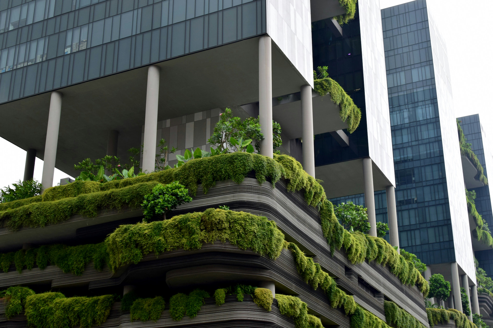 Climate Resilience Hotels