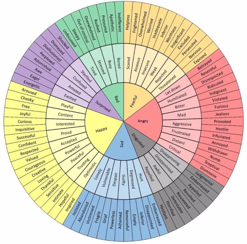 Emotional Intelligence Wheel