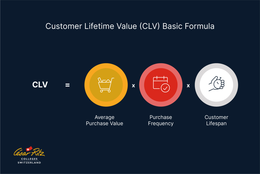 Clv Formula Customer Lifetime Value: Definition, Formula, and Use